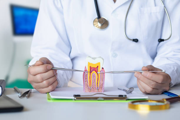 Best Emergency Root Canal Treatment in Williston Highlands, FL